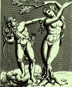 La flecha del desamor cosifica (Apolo y Dafne)