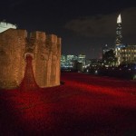 foto de la torre de Londres amapolas rojos