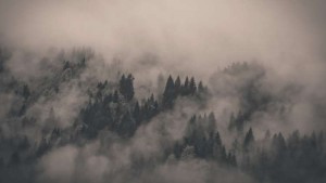 fog-forest-nature-640-9331-cool-1024x576