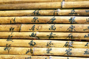 bambu-libro