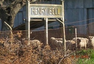 HENRY BELL
