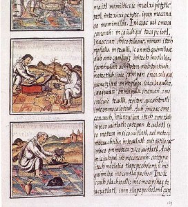 Codex florentino 