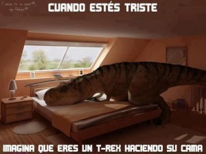 t rex cama