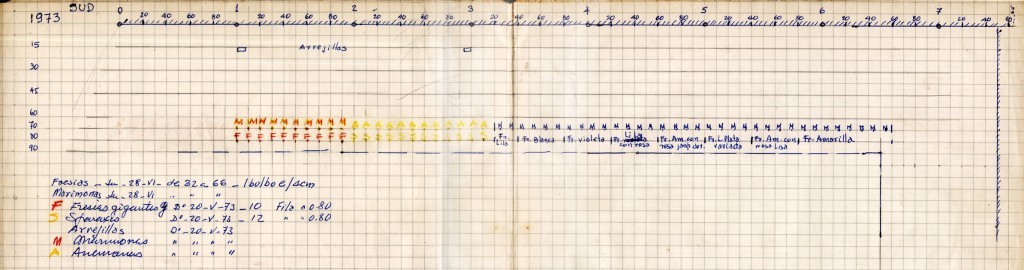 imagen 03 - grafico abuelo - plantines clasificacion - orientacion y crecimiento