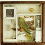 imagen 05 – Joseph cornell – The Hotel Eden 1945