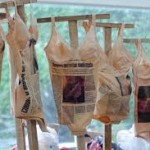 ausentadas, muestra de arte contra la vioencia de género
