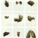 06) Kiki Smith – Possesion Is Nine tenths of the law 1- Portfolio de 9 serigrafias y monocpias – 1985