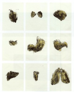 06) Kiki Smith - Possesion Is Nine tenths of the law 1- Portfolio de 9 serigrafias y monocpias - 1985