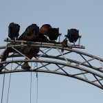 5311099306_05444f19ed