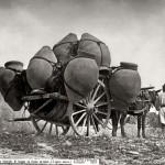 Casa fotográfica de Laurent, Carreta cargada de tinajas. Murcia. 1871