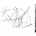 imagen 04 – Gego. Dibujo – Dibujo sin papel y Reticulárea