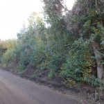 abrojal