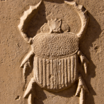 escarabajo