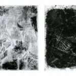 Stupía – Sedimentos y Fósiles