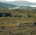 images (1)