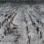-Anselm Kiefer “The autumn’s whisper