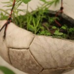 19247656_10213407250564518_132900693366202183_n