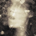 Bárbara Bezina Anocheciendo en ele jardin