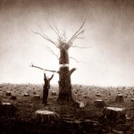 maru11 robert y shana Parkeharrison-006