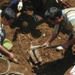 Equipo de Antropología forense