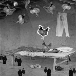 Zimmermann, M. «Alucinación». Serie Un perro en el paraíso