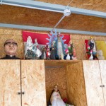 Fundación Isla Maciel. Fotografía: Diego Grispo.