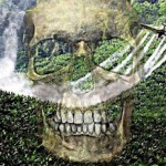 Foto 3 – Agrotóxicos