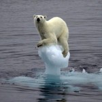 Foto 6 Calentamiento Global