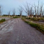 HAP – siempre vuelve