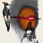 ILUSTRACION DE ANA SANTONJA