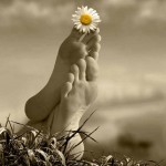 margarita a tus pies – JJStork
