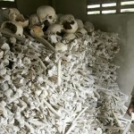 pepe3silencio en los arrozales, genocido camboyano