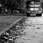 otoño gris