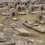 16.  sueño pintado de verdín. HAP