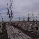 21. vereda de sal muerta. HAP