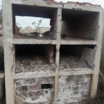 26. nichos desnudos. HAP