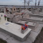 29. restauración. HAP