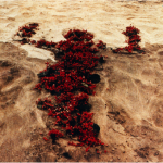 Ana Mendieta.