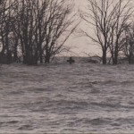 8. cruz del camino. Fotografía de web