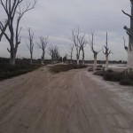 9. camino a tus muertos. HAP