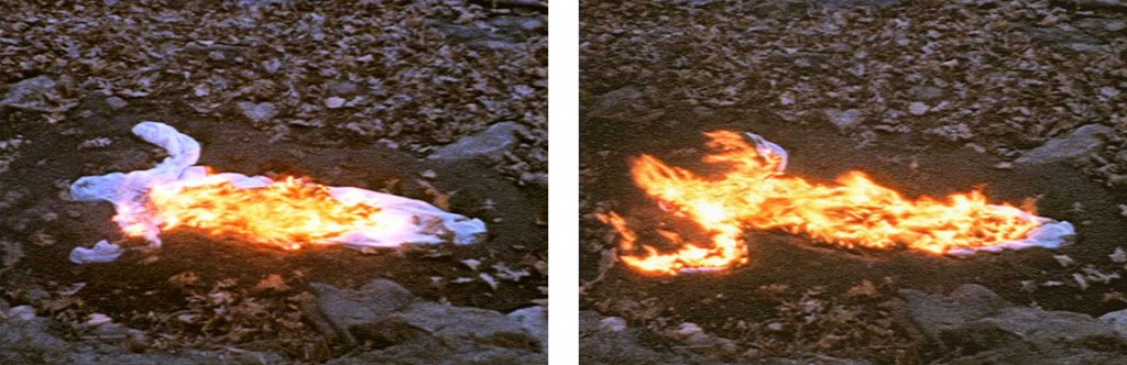 Ana Mendieta. "Alma. Silueta en Fuego".