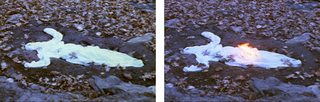 Ana Mendieta. "Alma. Silueta en Fuego".