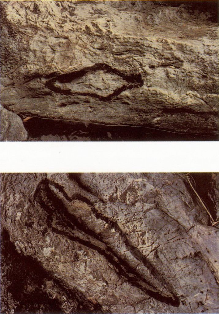 Ana Mendieta. Sin título. México, 1980.