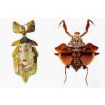 Chris Brand and Evan