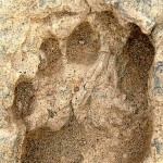 kohan7antigua huella de pisada humana,Kenya