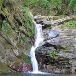 94463431745c146a7d5d8719244c6997