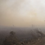 Oscar Pintor. «Incendio VIII». 2011