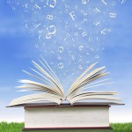 pila-de-libros-al-aire-libre-25394981