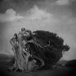 11903915_404132646444901_4524915869470880586_n