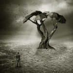 11954686_404132986444867_9149268539150043891_n